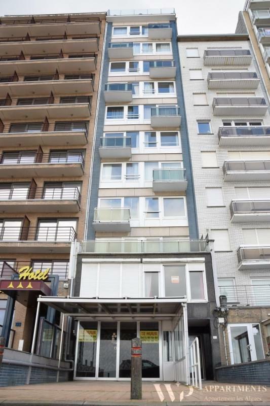 Residentie Les Algues 8Ste Verdieping บลังเคนเบอร์เก ภายนอก รูปภาพ